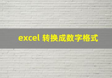 excel 转换成数字格式